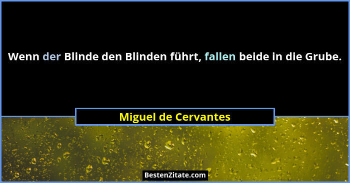 Wenn der Blinde den Blinden führt, fallen beide in die Grube.... - Miguel de Cervantes