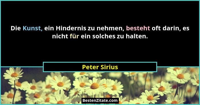 Die Kunst, ein Hindernis zu nehmen, besteht oft darin, es nicht für ein solches zu halten.... - Peter Sirius