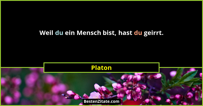 Weil du ein Mensch bist, hast du geirrt.... - Platon