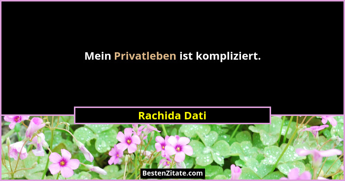 Mein Privatleben ist kompliziert.... - Rachida Dati