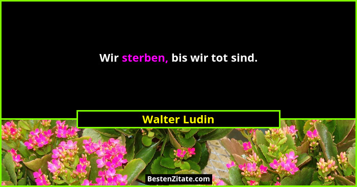 Wir sterben, bis wir tot sind.... - Walter Ludin