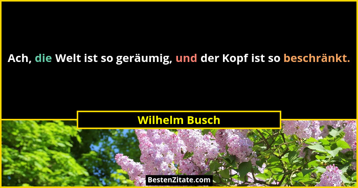 Ach, die Welt ist so geräumig, und der Kopf ist so beschränkt.... - Wilhelm Busch