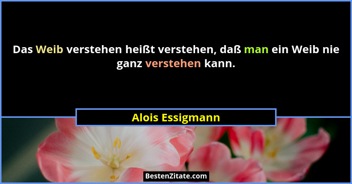 Das Weib verstehen heißt verstehen, daß man ein Weib nie ganz verstehen kann.... - Alois Essigmann