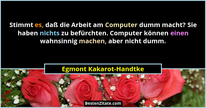 Stimmt es, daß die Arbeit am Computer dumm macht? Sie haben nichts zu befürchten. Computer können einen wahnsinnig machen, ab... - Egmont Kakarot-Handtke