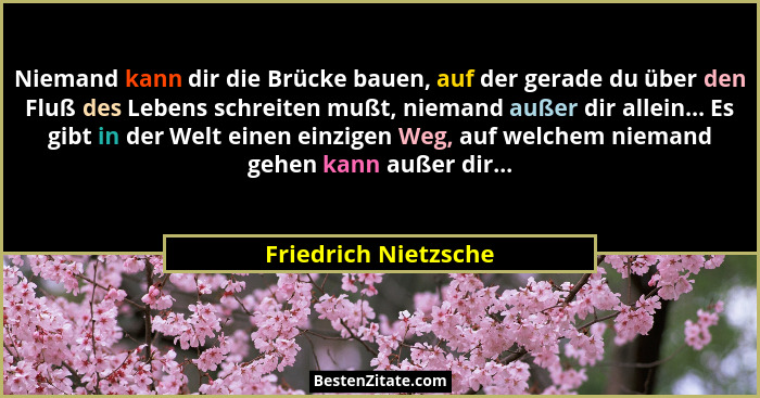Niemand kann dir die Brücke bauen, auf der gerade du über den Fluß des Lebens schreiten mußt, niemand außer dir allein... Es gib... - Friedrich Nietzsche