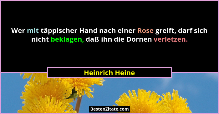 Wer mit täppischer Hand nach einer Rose greift, darf sich nicht beklagen, daß ihn die Dornen verletzen.... - Heinrich Heine