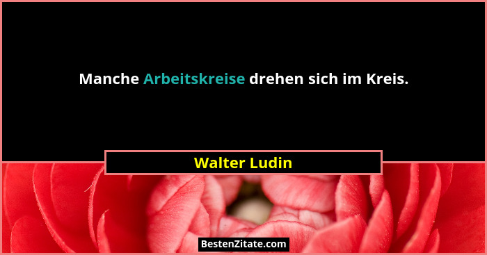 Manche Arbeitskreise drehen sich im Kreis.... - Walter Ludin