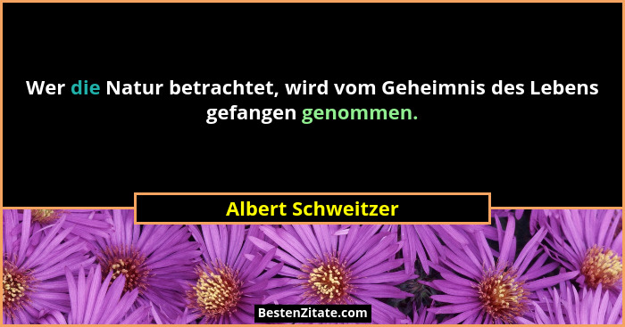 Wer die Natur betrachtet, wird vom Geheimnis des Lebens gefangen genommen.... - Albert Schweitzer