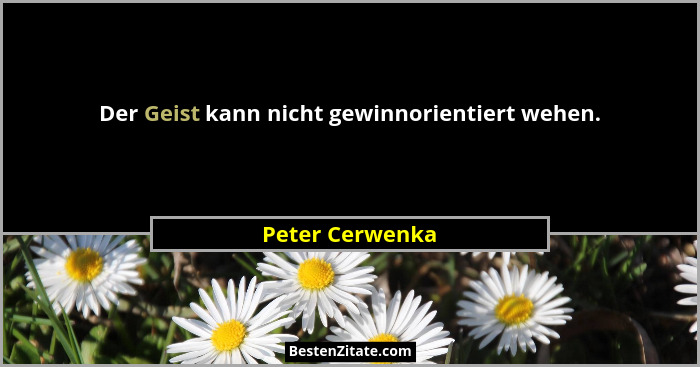 Der Geist kann nicht gewinnorientiert wehen.... - Peter Cerwenka