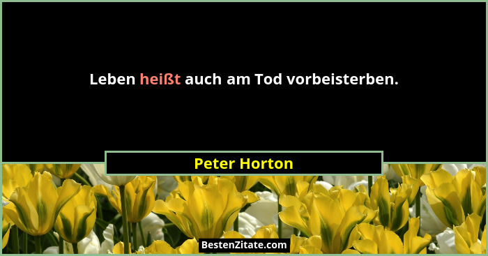 Leben heißt auch am Tod vorbeisterben.... - Peter Horton