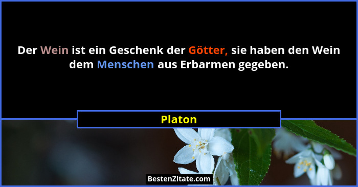 Der Wein ist ein Geschenk der Götter, sie haben den Wein dem Menschen aus Erbarmen gegeben.... - Platon