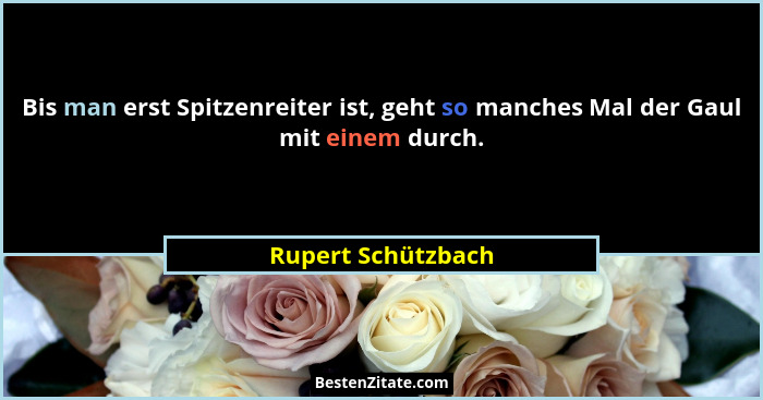 Bis man erst Spitzenreiter ist, geht so manches Mal der Gaul mit einem durch.... - Rupert Schützbach