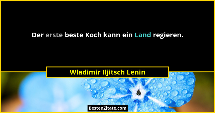 Der erste beste Koch kann ein Land regieren.... - Wladimir Iljitsch Lenin