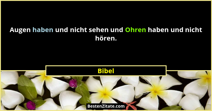 Augen haben und nicht sehen und Ohren haben und nicht hören.... - Bibel