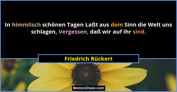In himmlisch schönen Tagen Laßt aus dem Sinn die Welt uns schlagen, Vergessen, daß wir auf ihr sind.... - Friedrich Rückert