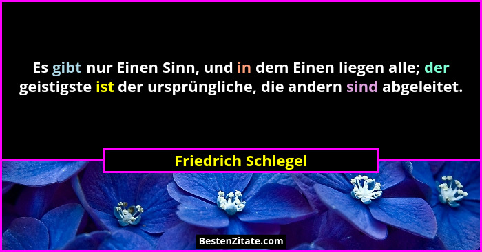 Es gibt nur Einen Sinn, und in dem Einen liegen alle; der geistigste ist der ursprüngliche, die andern sind abgeleitet.... - Friedrich Schlegel
