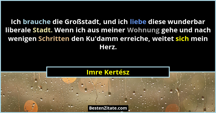 Ich brauche die Großstadt, und ich liebe diese wunderbar liberale Stadt. Wenn ich aus meiner Wohnung gehe und nach wenigen Schritten de... - Imre Kertész