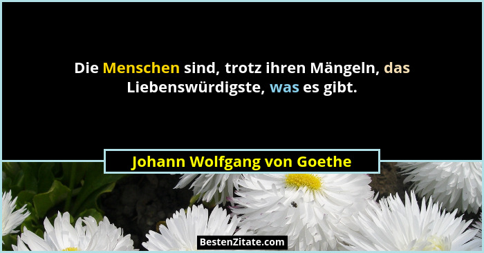 Die Menschen sind, trotz ihren Mängeln, das Liebenswürdigste, was es gibt.... - Johann Wolfgang von Goethe