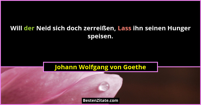 Will der Neid sich doch zerreißen, Lass ihn seinen Hunger speisen.... - Johann Wolfgang von Goethe