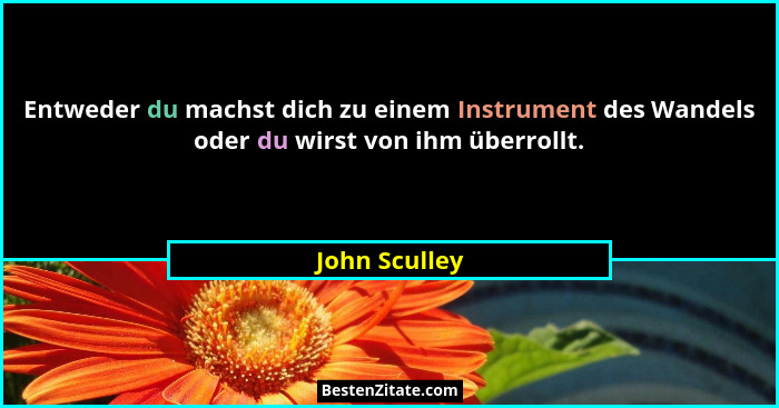 Entweder du machst dich zu einem Instrument des Wandels oder du wirst von ihm überrollt.... - John Sculley