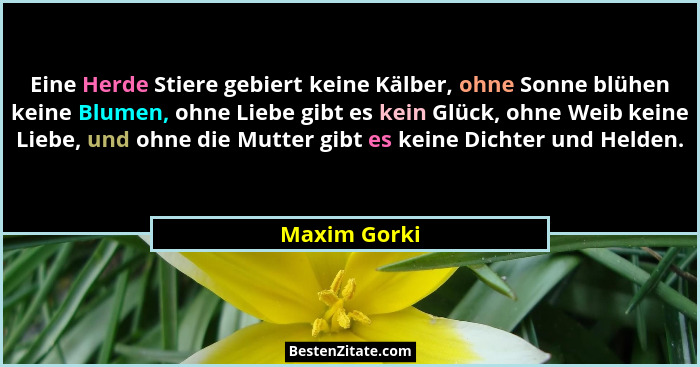Eine Herde Stiere gebiert keine Kälber, ohne Sonne blühen keine Blumen, ohne Liebe gibt es kein Glück, ohne Weib keine Liebe, und ohne d... - Maxim Gorki