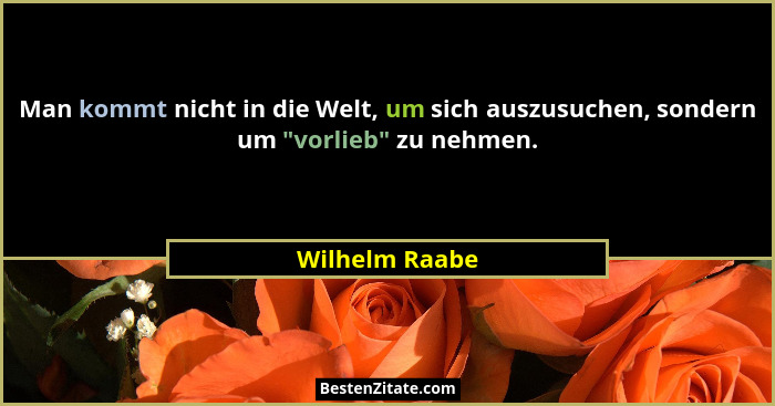 Man kommt nicht in die Welt, um sich auszusuchen, sondern um "vorlieb" zu nehmen.... - Wilhelm Raabe