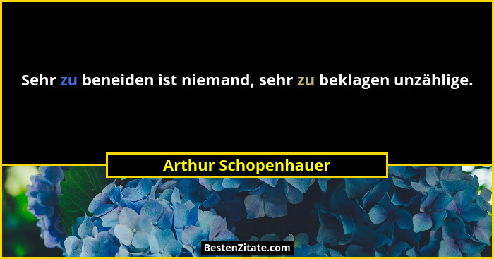 Sehr zu beneiden ist niemand, sehr zu beklagen unzählige.... - Arthur Schopenhauer