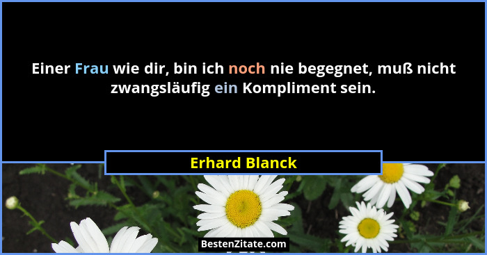 Einer Frau wie dir, bin ich noch nie begegnet, muß nicht zwangsläufig ein Kompliment sein.... - Erhard Blanck