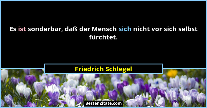 Es ist sonderbar, daß der Mensch sich nicht vor sich selbst fürchtet.... - Friedrich Schlegel