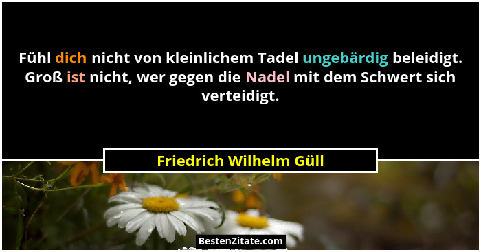 Fühl dich nicht von kleinlichem Tadel ungebärdig beleidigt. Groß ist nicht, wer gegen die Nadel mit dem Schwert sich verteidi... - Friedrich Wilhelm Güll
