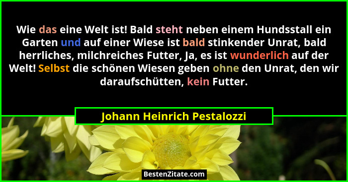 Wie das eine Welt ist! Bald steht neben einem Hundsstall ein Garten und auf einer Wiese ist bald stinkender Unrat, bald h... - Johann Heinrich Pestalozzi