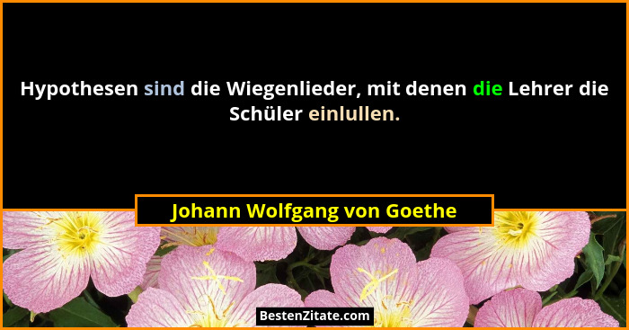 Hypothesen sind die Wiegenlieder, mit denen die Lehrer die Schüler einlullen.... - Johann Wolfgang von Goethe