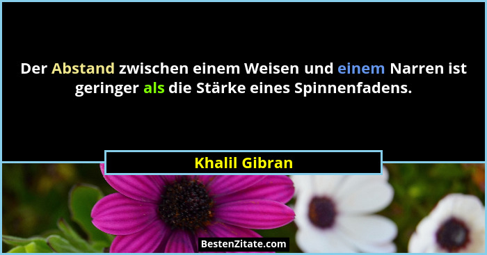 Der Abstand zwischen einem Weisen und einem Narren ist geringer als die Stärke eines Spinnenfadens.... - Khalil Gibran