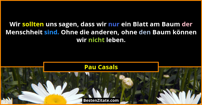 Wir sollten uns sagen, dass wir nur ein Blatt am Baum der Menschheit sind. Ohne die anderen, ohne den Baum können wir nicht leben.... - Pau Casals