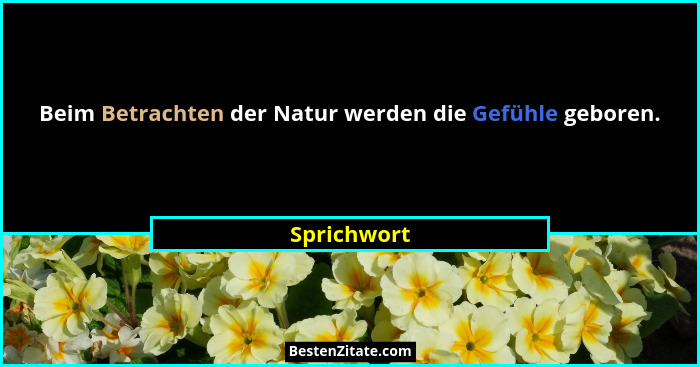 Beim Betrachten der Natur werden die Gefühle geboren.... - Sprichwort
