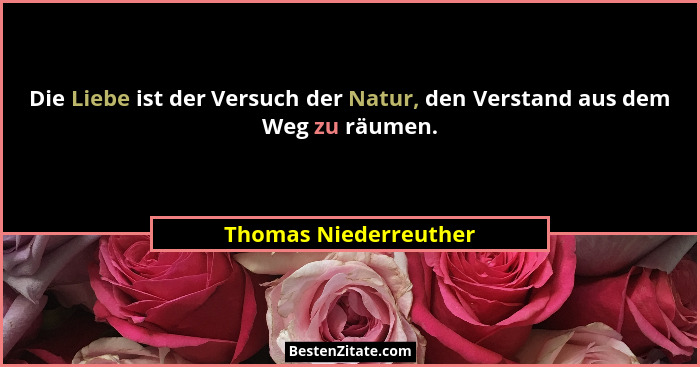 Die Liebe ist der Versuch der Natur, den Verstand aus dem Weg zu räumen.... - Thomas Niederreuther