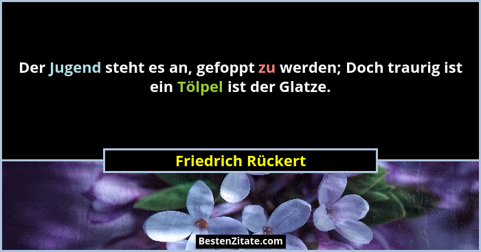 Der Jugend steht es an, gefoppt zu werden; Doch traurig ist ein Tölpel ist der Glatze.... - Friedrich Rückert