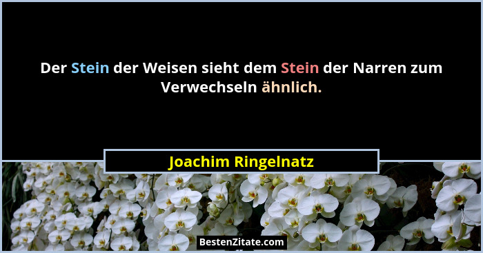 Der Stein der Weisen sieht dem Stein der Narren zum Verwechseln ähnlich.... - Joachim Ringelnatz