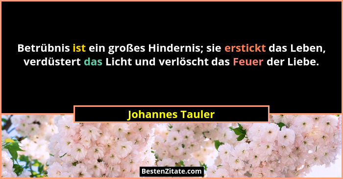 Betrübnis ist ein großes Hindernis; sie erstickt das Leben, verdüstert das Licht und verlöscht das Feuer der Liebe.... - Johannes Tauler