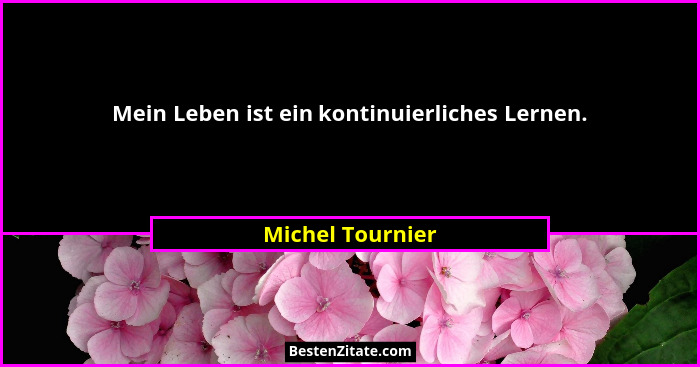 Mein Leben ist ein kontinuierliches Lernen.... - Michel Tournier