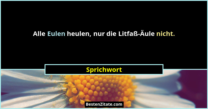 Alle Eulen heulen, nur die Litfaß-Äule nicht.... - Sprichwort
