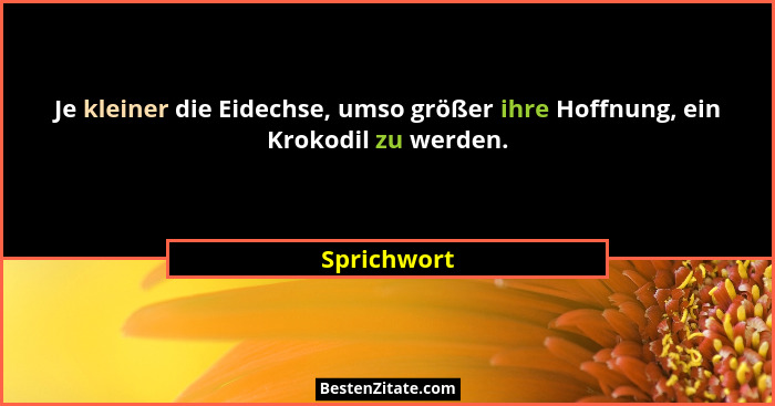Je kleiner die Eidechse, umso größer ihre Hoffnung, ein Krokodil zu werden.... - Sprichwort