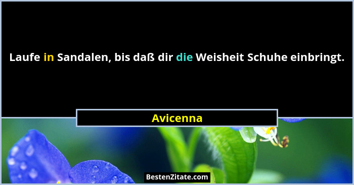 Laufe in Sandalen, bis daß dir die Weisheit Schuhe einbringt.... - Avicenna