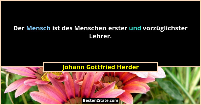 Der Mensch ist des Menschen erster und vorzüglichster Lehrer.... - Johann Gottfried Herder