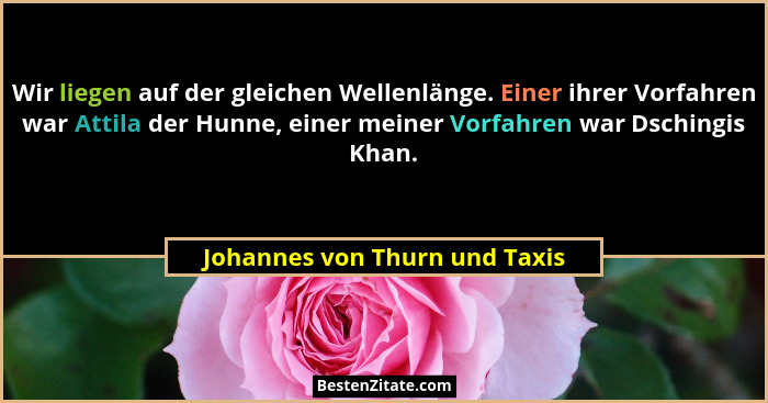 Wir liegen auf der gleichen Wellenlänge. Einer ihrer Vorfahren war Attila der Hunne, einer meiner Vorfahren war Dsching... - Johannes von Thurn und Taxis