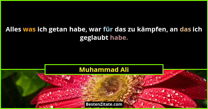 Alles was ich getan habe, war für das zu kämpfen, an das ich geglaubt habe.... - Muhammad Ali
