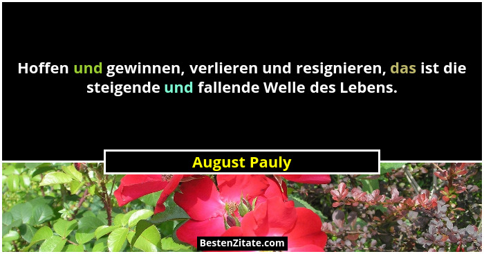 Hoffen und gewinnen, verlieren und resignieren, das ist die steigende und fallende Welle des Lebens.... - August Pauly
