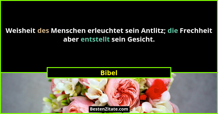 Weisheit des Menschen erleuchtet sein Antlitz; die Frechheit aber entstellt sein Gesicht.... - Bibel