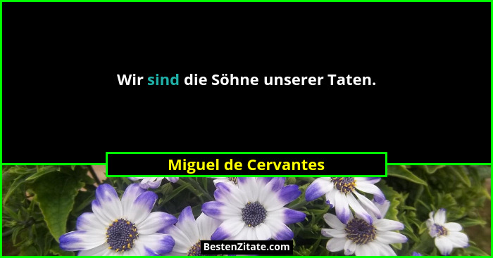 Wir sind die Söhne unserer Taten.... - Miguel de Cervantes