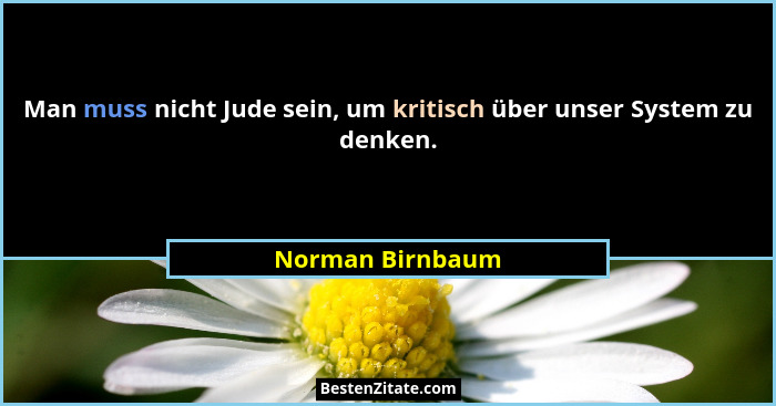 Man muss nicht Jude sein, um kritisch über unser System zu denken.... - Norman Birnbaum